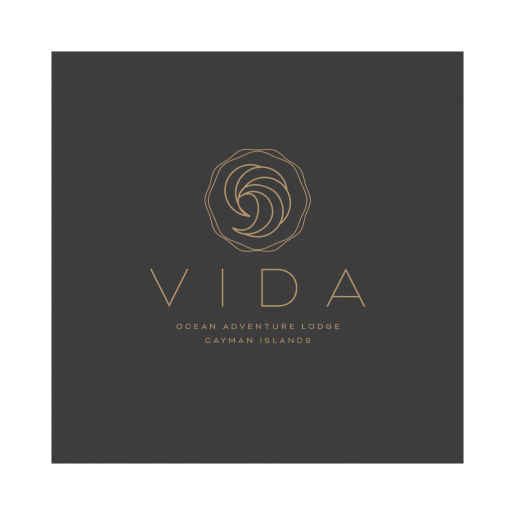 Vida Cayman Hotel DC Global Talent Recruitment Agency